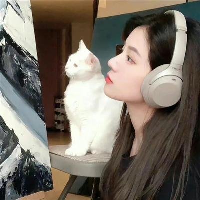 柳堡的故事